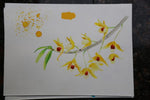 「Natural Wonders of Taiwan inks」イェロー